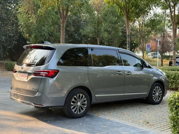 Buick GL8 2020 Model Business class 652T Luxury Model – фото 6
