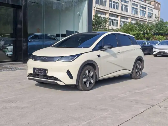BYD Dolphin 2025 Model Smart Driving Edition 410KM Fashion Edition – фото 1
