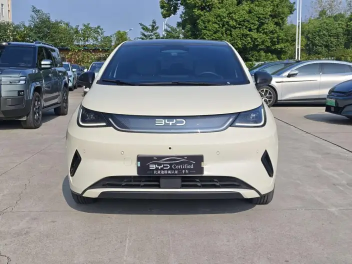 BYD Dolphin 2025 Model Smart Driving Edition 410KM Fashion Edition – фото 2