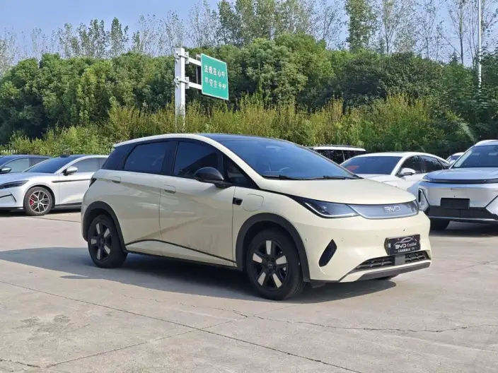 BYD Dolphin 2025 Model Smart Driving Edition 410KM Fashion Edition – фото 3