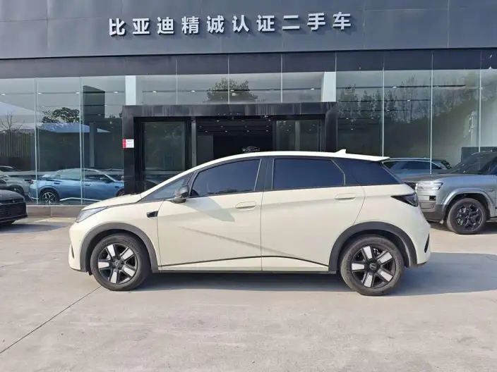 BYD Dolphin 2025 Model Smart Driving Edition 410KM Fashion Edition – фото 4
