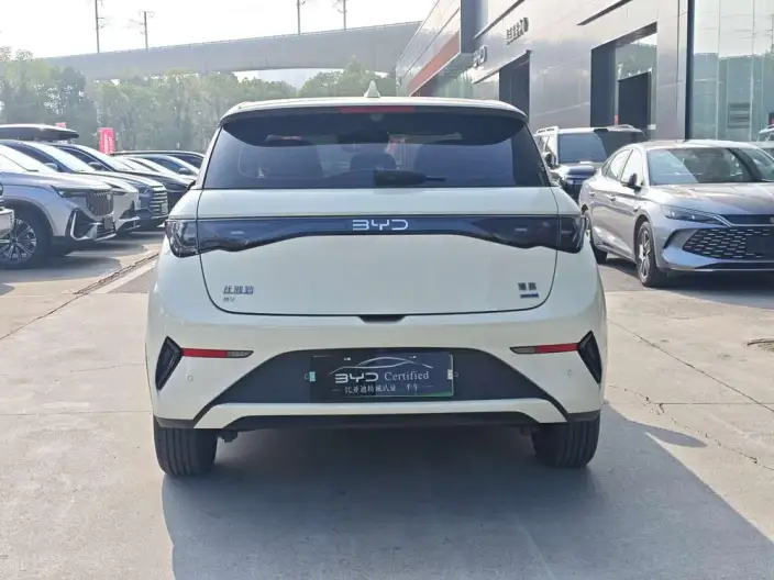 BYD Dolphin 2025 Model Smart Driving Edition 410KM Fashion Edition – фото 6