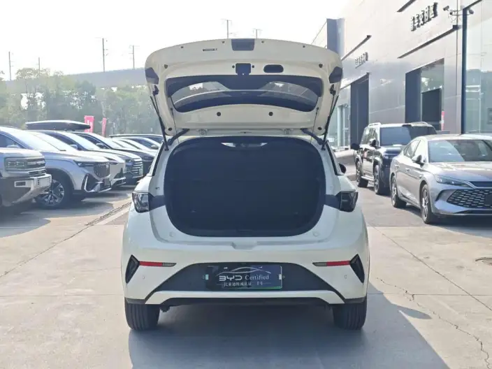 BYD Dolphin 2025 Model Smart Driving Edition 410KM Fashion Edition – фото 8
