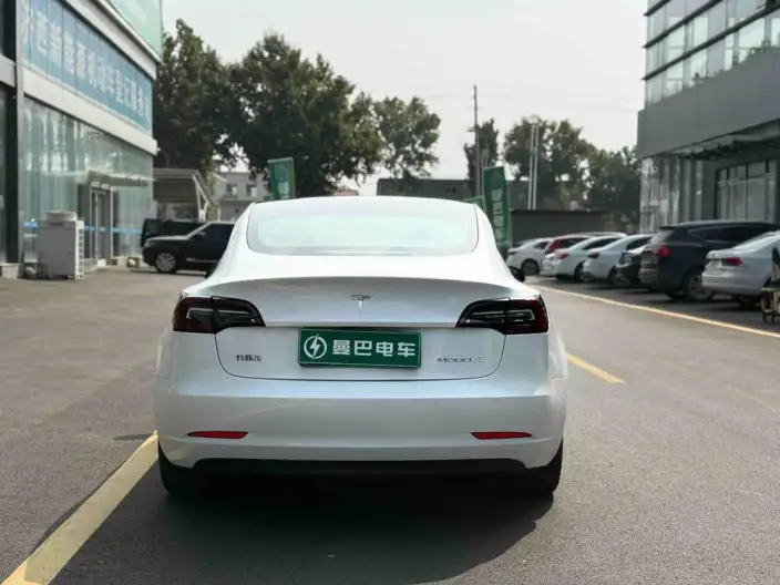 Model 3 2020 Model Facelift Standard Battery Life Rear Drive L Class Edition – фото 5