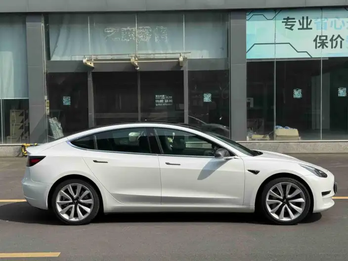 Model 3 2020 Model Facelift Standard Battery Life Rear Drive L Class Edition – фото 7