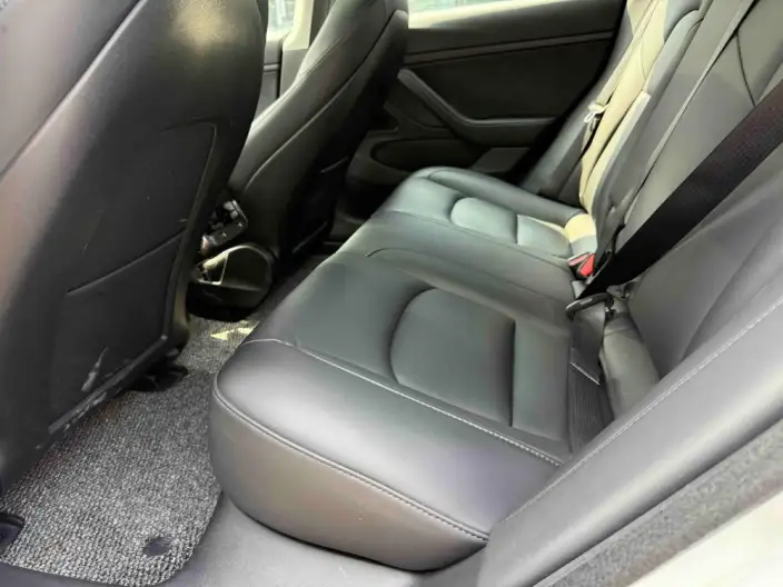 Model 3 2020 Model Facelift Standard Battery Life Rear Drive L Class Edition – фото 10