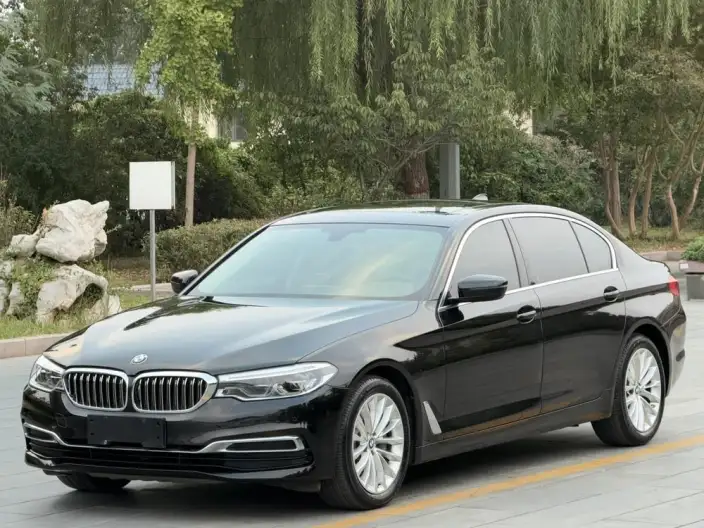 BMW 5 Series 2020 Model 530Li Leading Model Luxury Set – фото 1