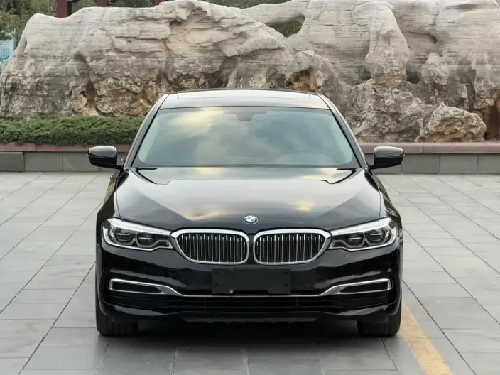 BMW 5 Series 2020 Model 530Li Leading Model Luxury Set – фото 2