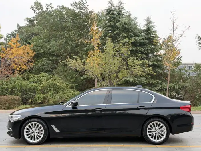 BMW 5 Series 2020 Model 530Li Leading Model Luxury Set – фото 4