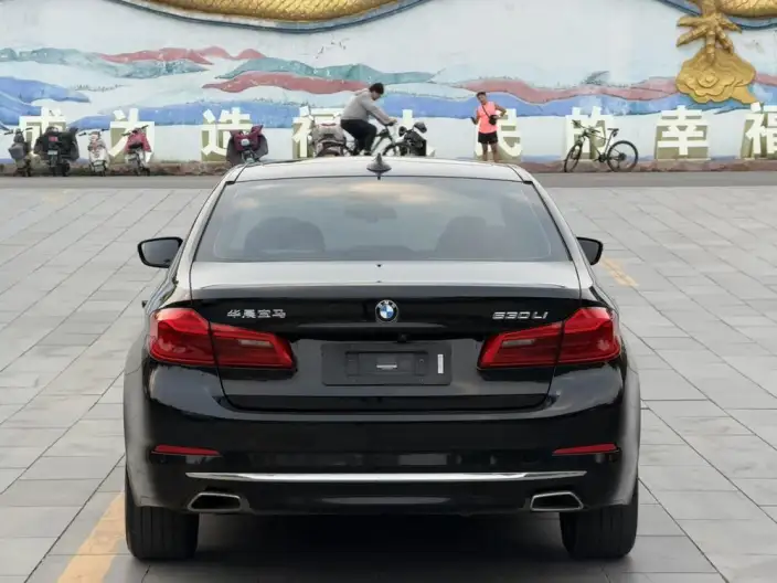BMW 5 Series 2020 Model 530Li Leading Model Luxury Set – фото 6