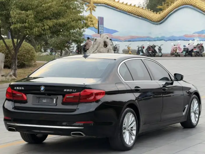 BMW 5 Series 2020 Model 530Li Leading Model Luxury Set – фото 7