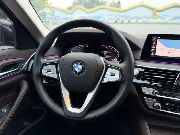 BMW 5 Series 2020 Model 530Li Leading Model Luxury Set – фото 10