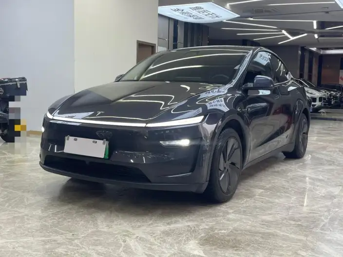 Model Y 2025 Model Rear-wheel drive version – фото 1