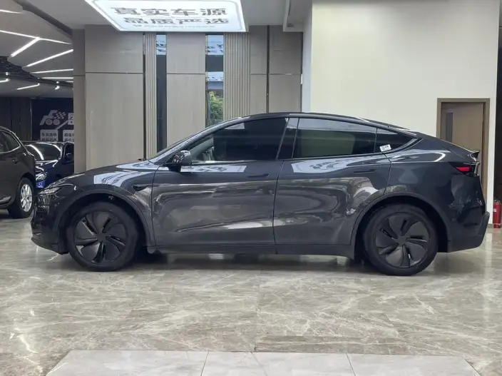 Model Y 2025 Model Rear-wheel drive version – фото 3