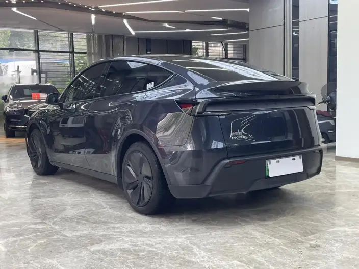 Model Y 2025 Model Rear-wheel drive version – фото 4