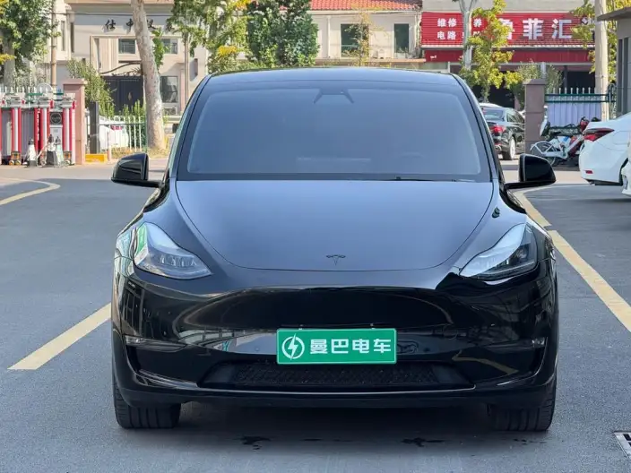Model Y 2022 Model Long Battery Life Pro All-wheel drive version – фото 2