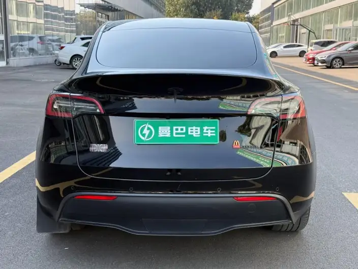 Model Y 2022 Model Long Battery Life Pro All-wheel drive version – фото 5