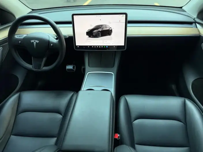 Model Y 2022 Model Long Battery Life Pro All-wheel drive version – фото 10