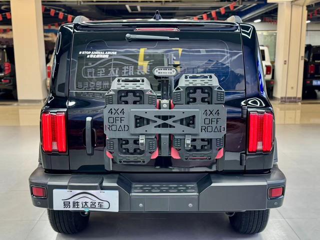 Tank 300 2023 Off-road 2.0T Conqueror – фото 5