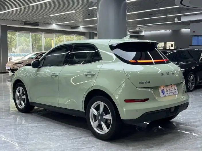 ORA Good Cat 2025 Model 430km Zunrong Model