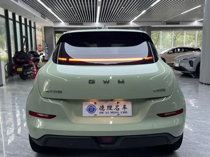 ORA Good Cat 2025 Model 430km Zunrong Model – фото 5