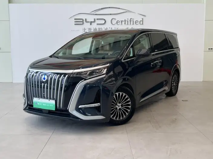 Denza D9 EV 2024 Model 600 4WD Flagship Model – фото 1