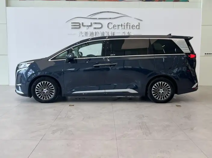 Denza D9 EV 2024 Model 600 4WD Flagship Model – фото 3
