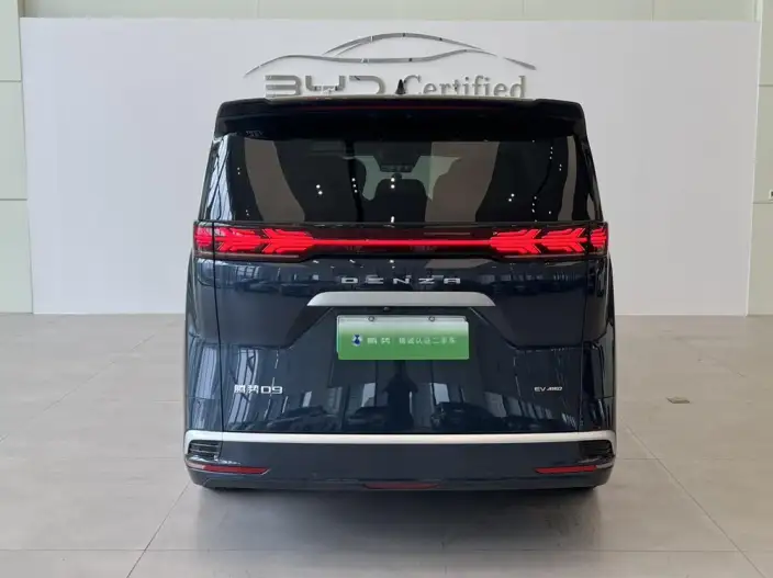 Denza D9 EV 2024 Model 600 4WD Flagship Model – фото 4