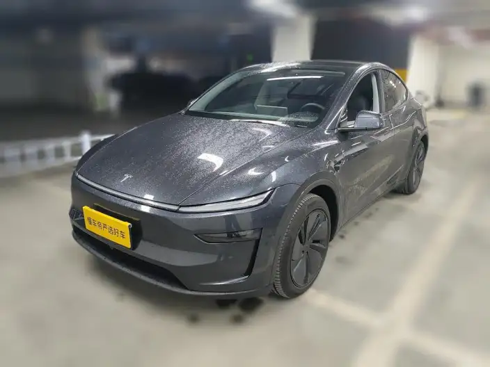 Model Y 2025 Model Rear-wheel drive version – фото 1