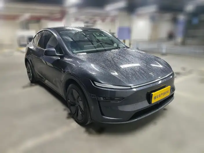 Model Y 2025 Model Rear-wheel drive version – фото 2