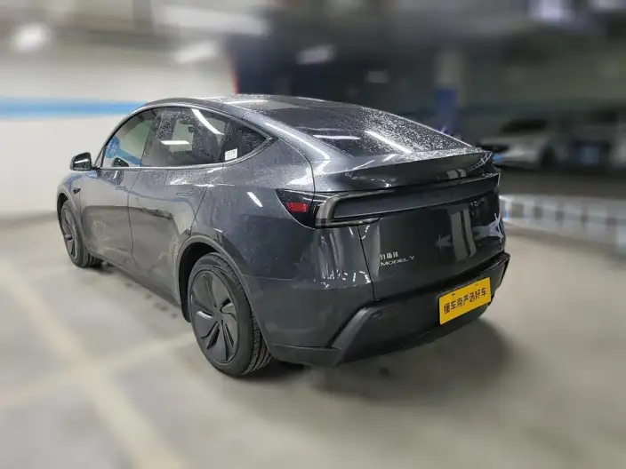 Model Y 2025 Model Rear-wheel drive version – фото 3