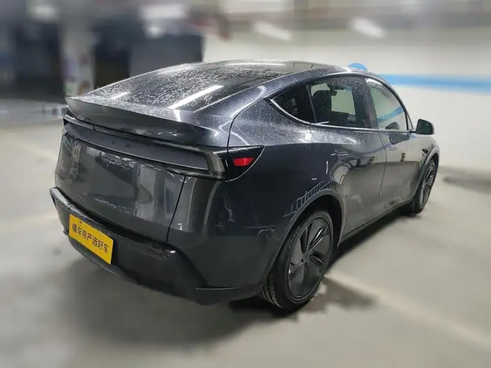 Model Y 2025 Model Rear-wheel drive version – фото 4