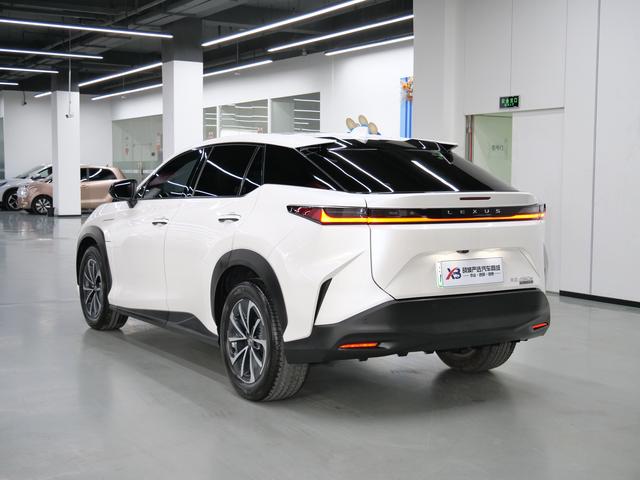 Lexus RZ 2023 450e DIRECT4 Premium – фото 4