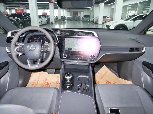 Lexus RZ 2023 450e DIRECT4 Premium – фото 18