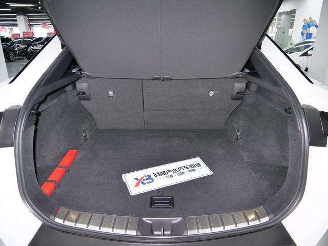 Lexus RZ 2023 450e DIRECT4 Premium – фото 20