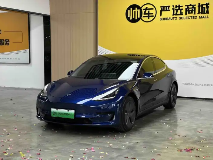 Model 3 2020 Model Standard Battery Life Rear Drive L Class Edition – фото 1