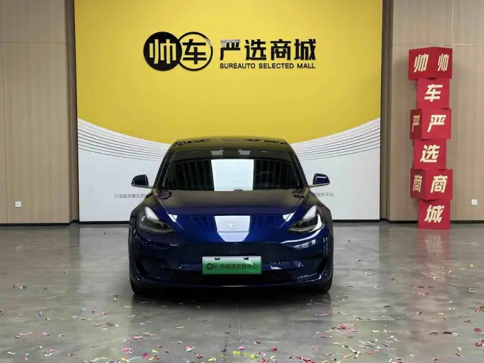 Model 3 2020 Model Standard Battery Life Rear Drive L Class Edition – фото 2