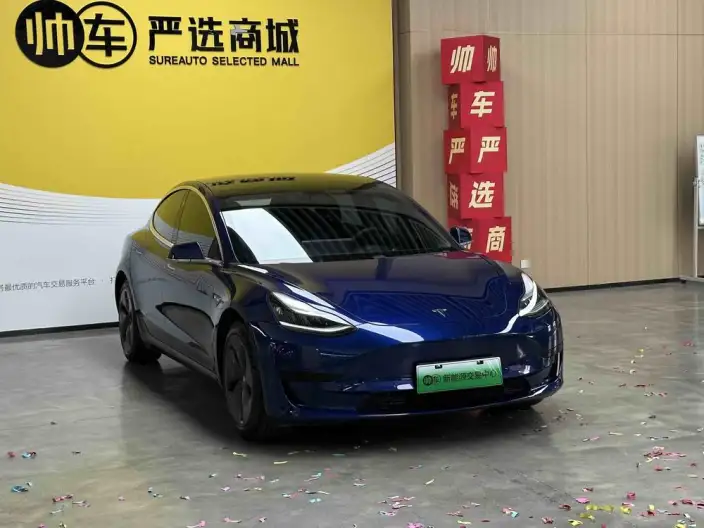 Model 3 2020 Model Standard Battery Life Rear Drive L Class Edition – фото 3