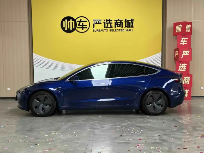 Model 3 2020 Model Standard Battery Life Rear Drive L Class Edition – фото 4