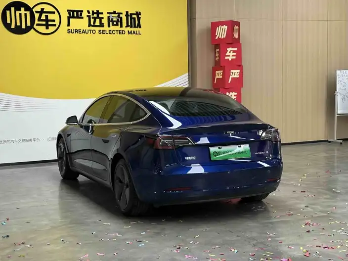Model 3 2020 Model Standard Battery Life Rear Drive L Class Edition – фото 5