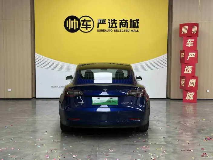 Model 3 2020 Model Standard Battery Life Rear Drive L Class Edition – фото 6