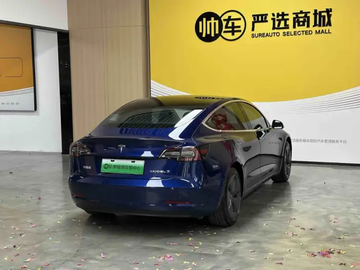 Model 3 2020 Model Standard Battery Life Rear Drive L Class Edition – фото 7