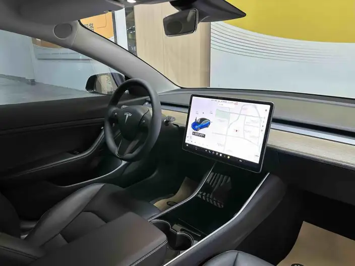 Model 3 2020 Model Standard Battery Life Rear Drive L Class Edition – фото 9