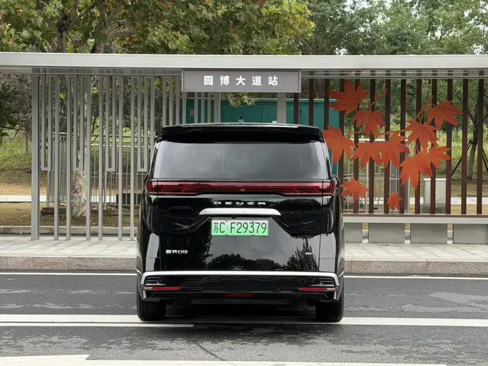 DENZA D9 DM 2024 Model 1050 Exclusive Model – фото 5
