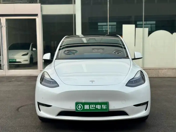 Model Y 2021 Model Long Battery Life Pro All-wheel drive version – фото 2