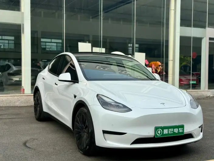 Model Y 2021 Model Long Battery Life Pro All-wheel drive version – фото 3