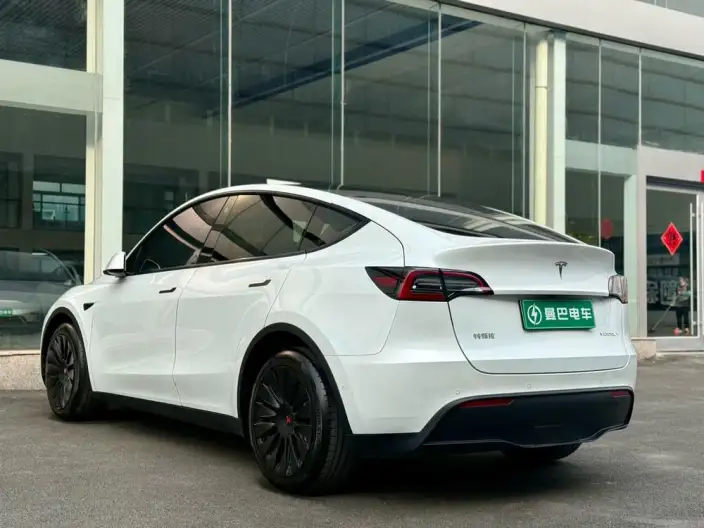 Model Y 2021 Model Long Battery Life Pro All-wheel drive version – фото 5