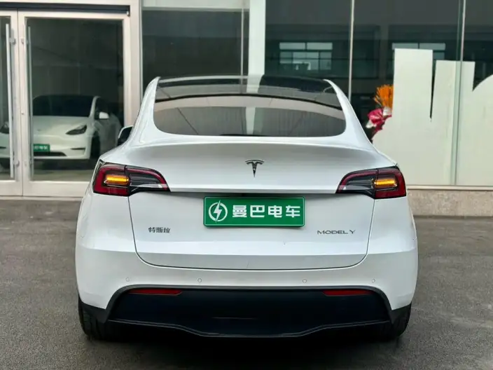 Model Y 2021 Model Long Battery Life Pro All-wheel drive version – фото 6