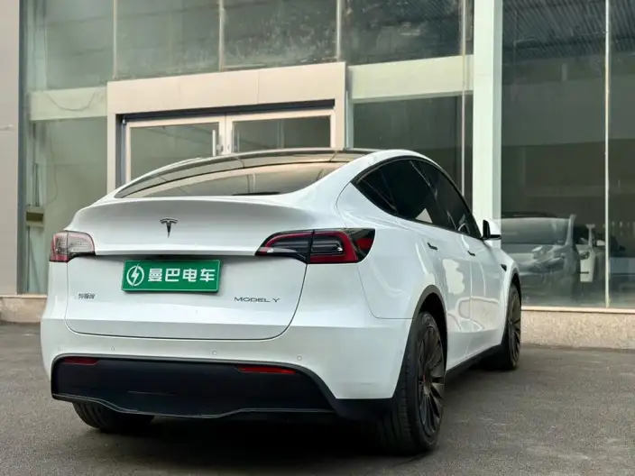 Model Y 2021 Model Long Battery Life Pro All-wheel drive version – фото 7