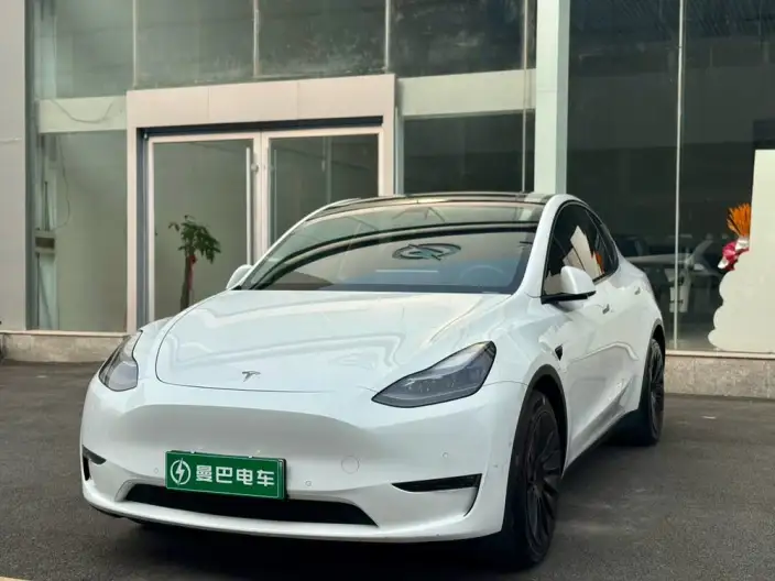 Model Y 2021 Model Long Battery Life Pro All-wheel drive version – фото 10